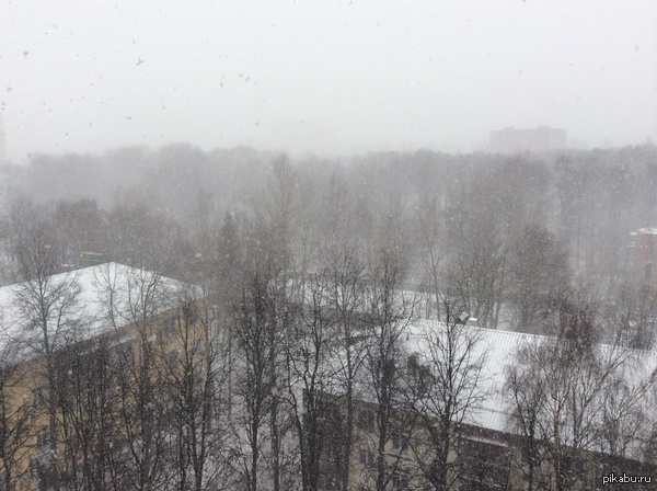 �������� ������� �� ����