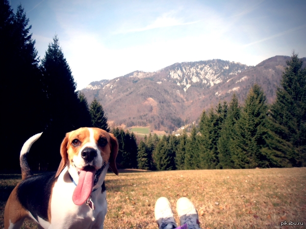 ��������� ������� ����