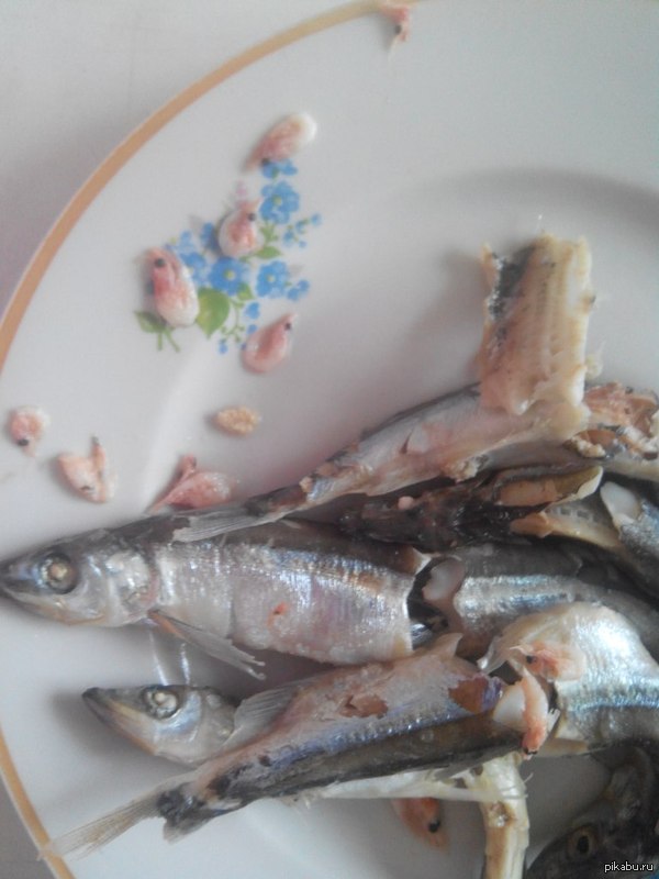 сварила коту рыбки, а она оказалась фаршираванная креветками) деликатес прям