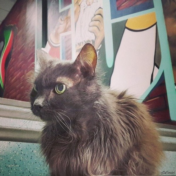   -  ,     &quot;&quot;  19 .