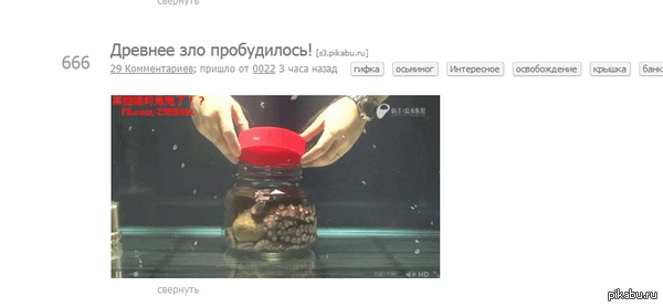 � ������ ������