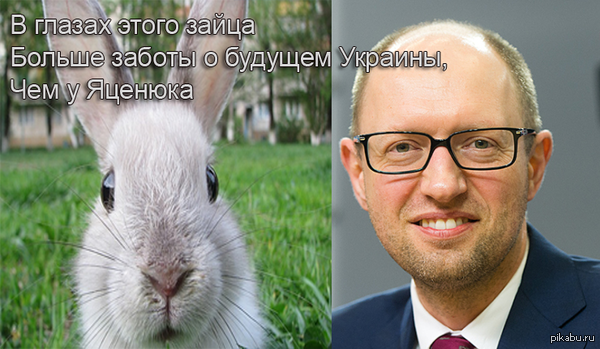 � ����� ��������� �������