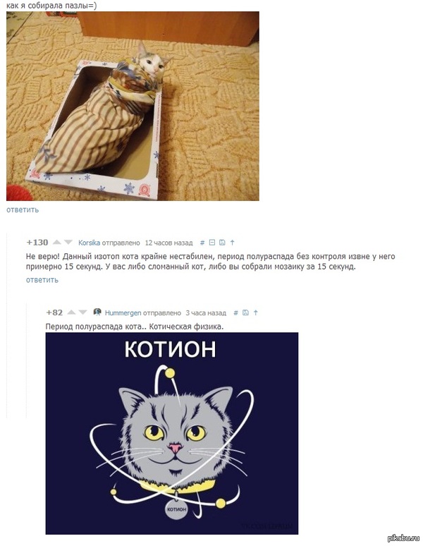 ���������� ������ �� ������