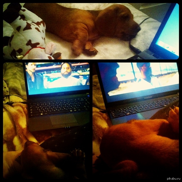 ��������� ������