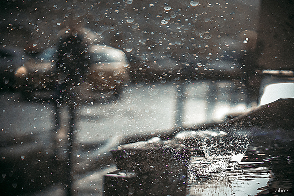 ���� � ������, ���������!