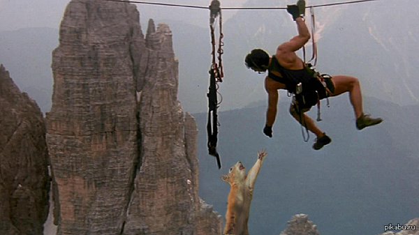 �� ��������..