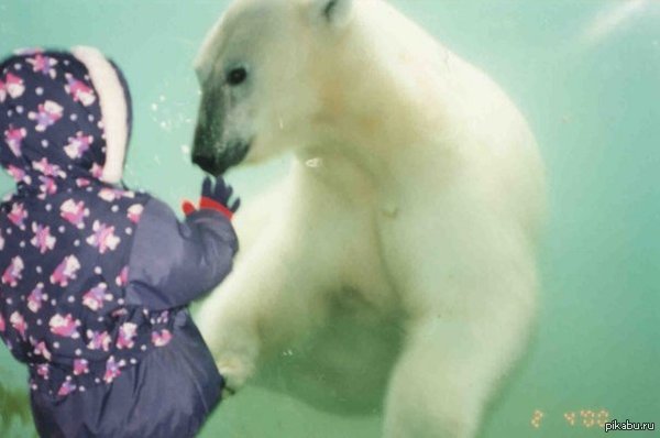 �� ��������� �������