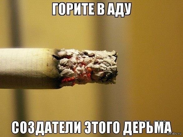 Sigi tired stinks everywhere - Russia, Cigarettes, Tree, Feces