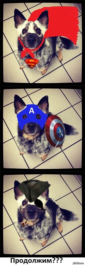 Харизматичный пёсик