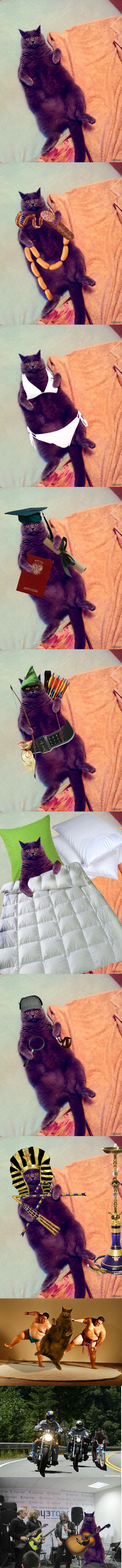      <a href="http://pikabu.ru/story/moya_koshka_po_imeni_aska_2099859">http://pikabu.ru/story/_2099859</a>
