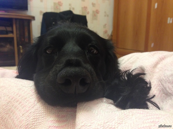 ����� ������������� ����������)