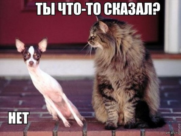  -?? 