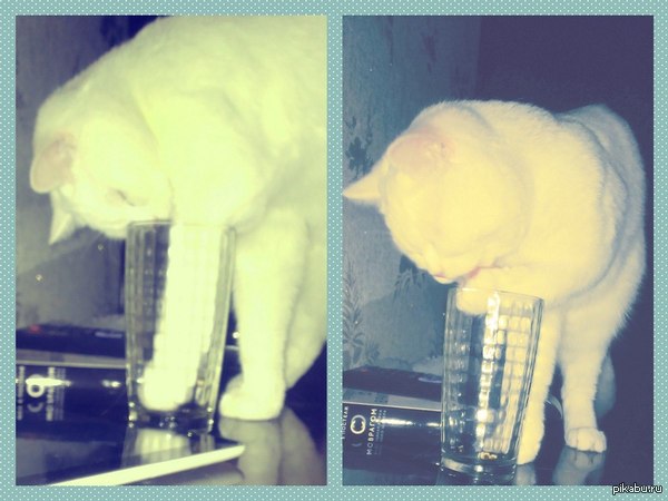 ��� ������� �������� ����