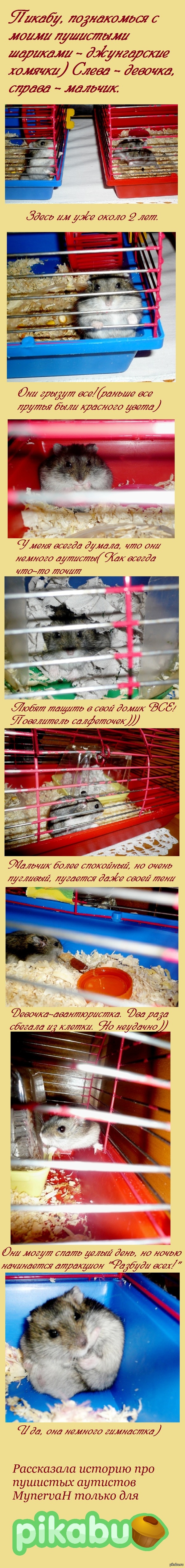 ���� �������!