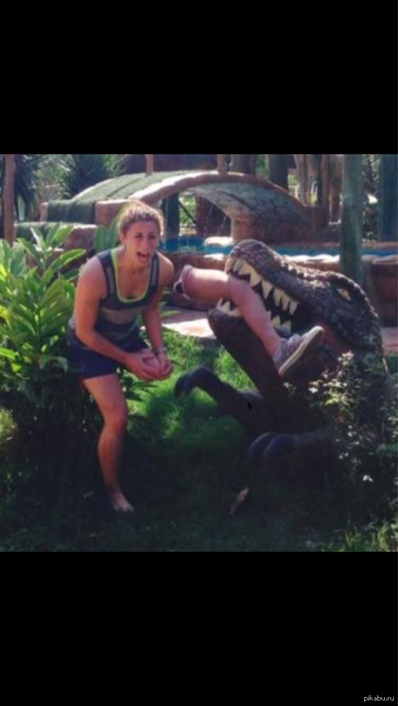 ����� ����������