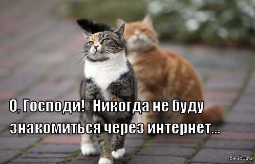 Про знакомства в интернете...