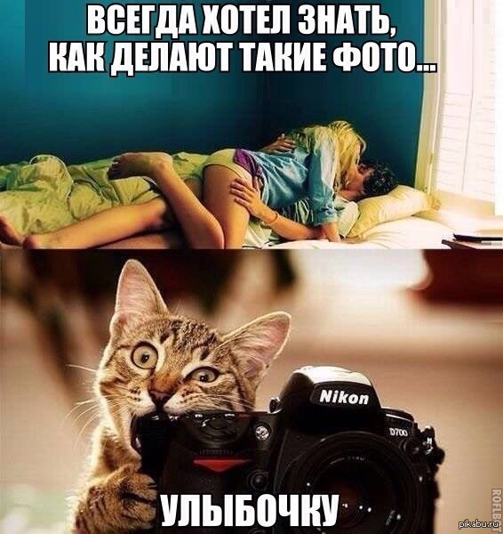 ��� ���� ����� ��������.