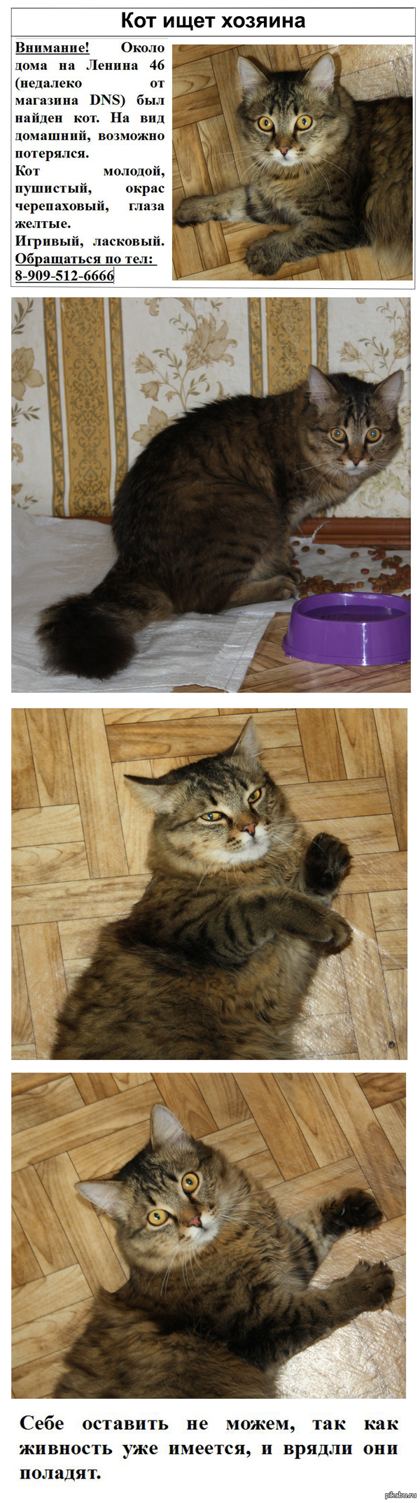 ������� � ��������� �. ��������