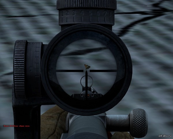 ����� �������� � Dayz � ������ ����� � ����������