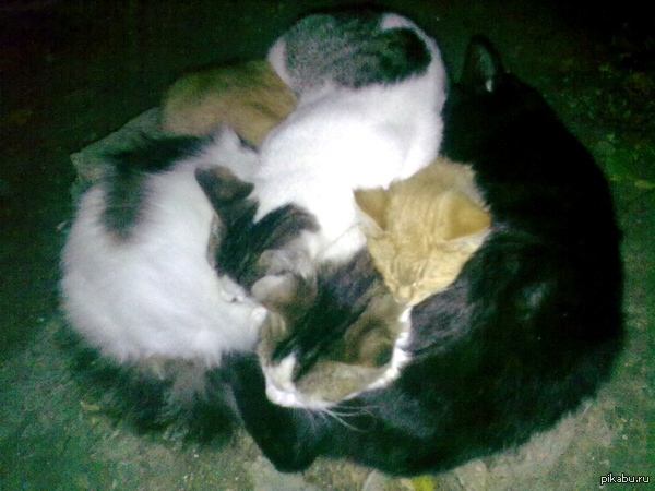 ������ ������=)