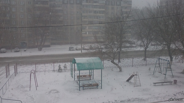 29 �����,���������.