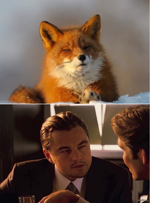 Я всё думала, кого мне эта лиса напоминает.