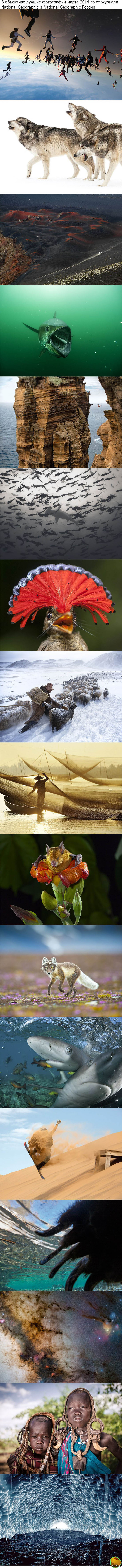 Лучшие фотографии марта от National Geographic