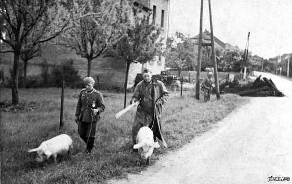 ,     .    .  ,    .