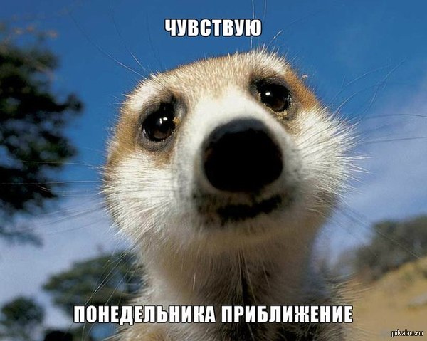 �����������..