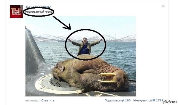 тагииииииииил!!