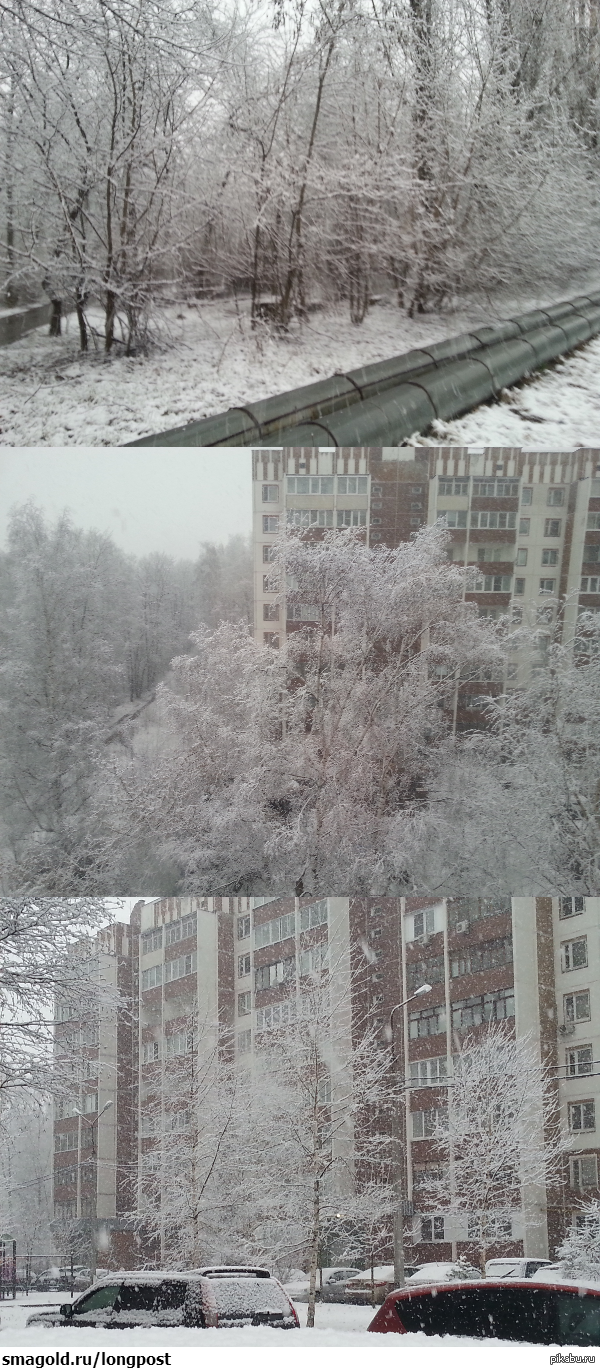Great start to April :) - My, Spring, Winter, Snow, Winter spring