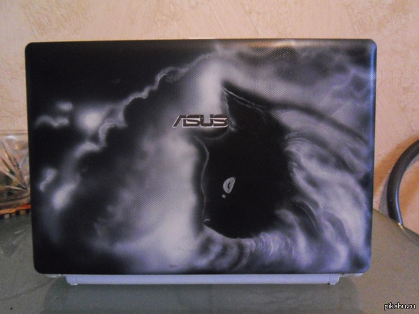 Кот на нетбуке