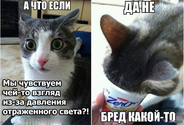 �������, ��� ���� ����� ����������.