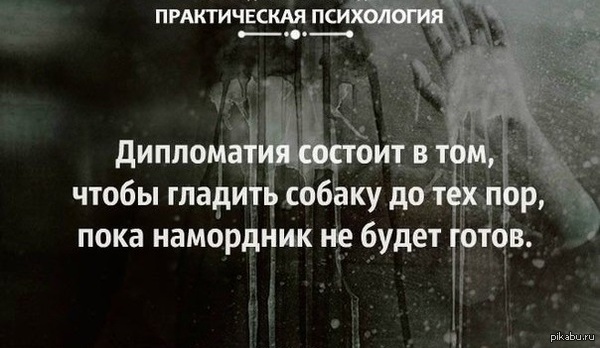 Дипломатия | Пикабу