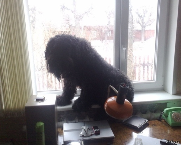 Это отличное место, я сяду здесь