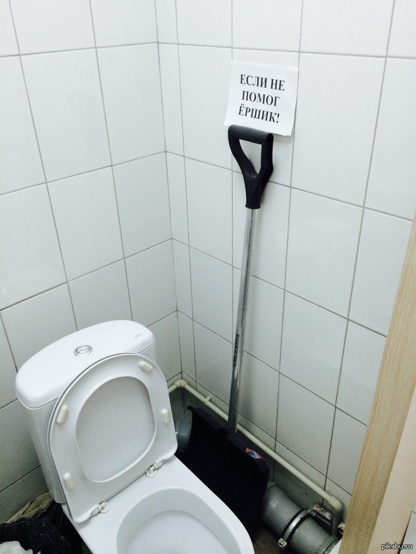 находчивые коллеги