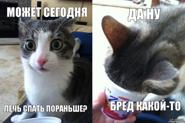 И вот так каждый день =(