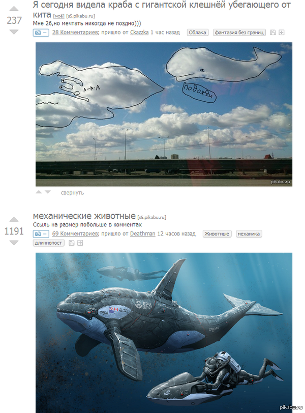 � � ���� ������