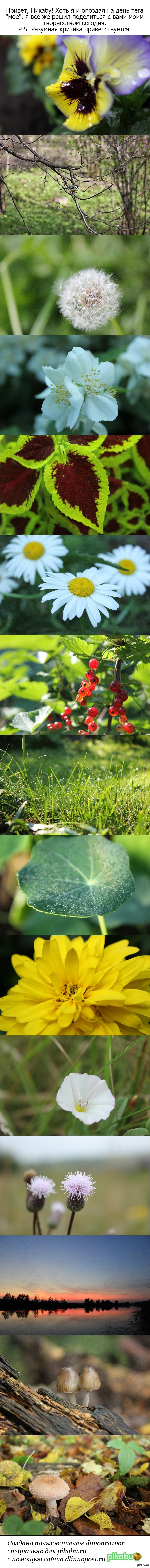 ��� ���� �� ��� ���.