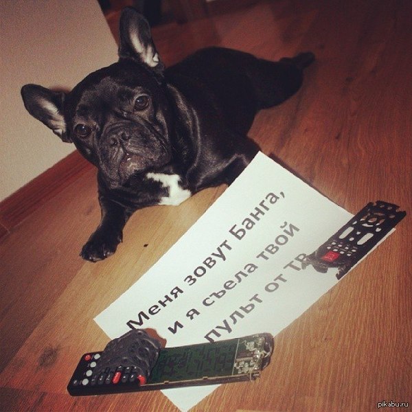 ������� ������ �� ���� ����� ����