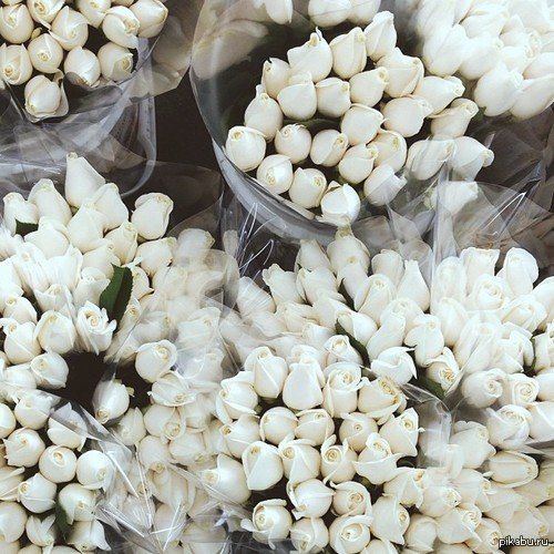 ��������!!!