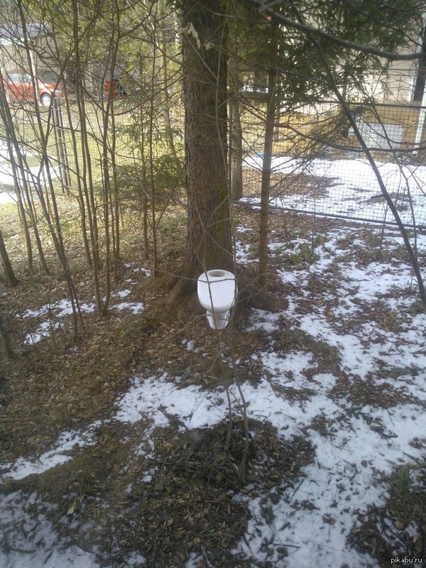 "Сходить" под дерево теперь еще удобнее