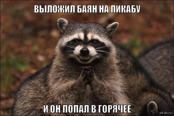 �� ����� �������, �����