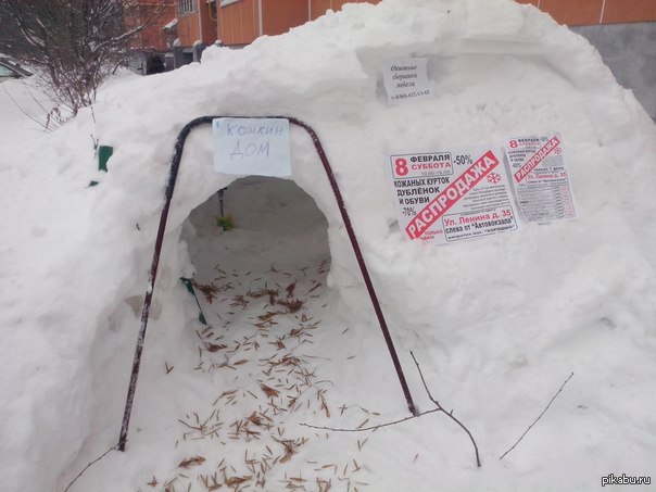 Кошкин дом | Пикабу