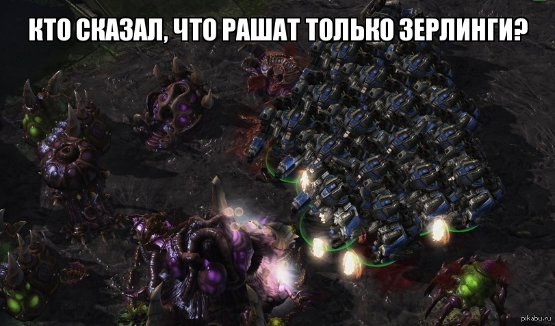 Старкрафт могильник. Аларак старкрафт. Старкрафт 2 мемы Зерги. STARCRAFT мемы. Комиксы старкрафт.