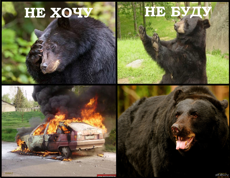 Шутка про медведя и горящую машину. Медведь горит. Медведь сел и сгорел. Медведь сел в машину и сгорел. Видит медведь машина горит