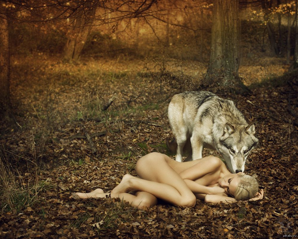 Erotic wolf stories