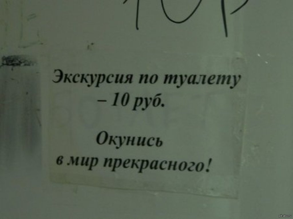 Экскурсия картинки смешные