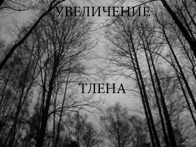 Безысходность в картинках