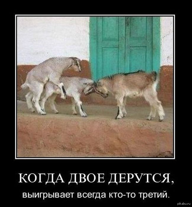 Третьим Будешь Картинки